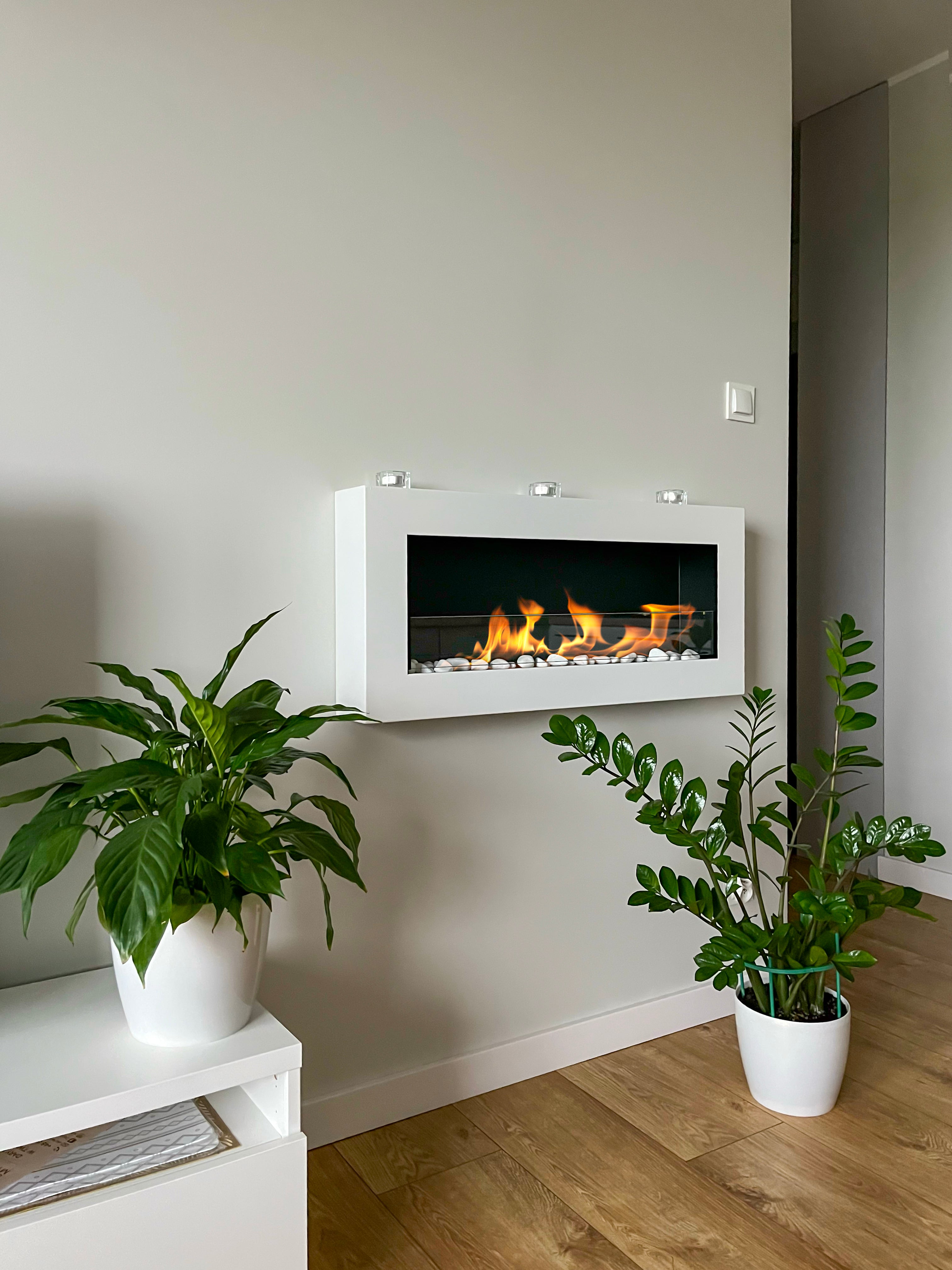 Biofireplace Wall-mounted with glass 900x400 Box white structural matte