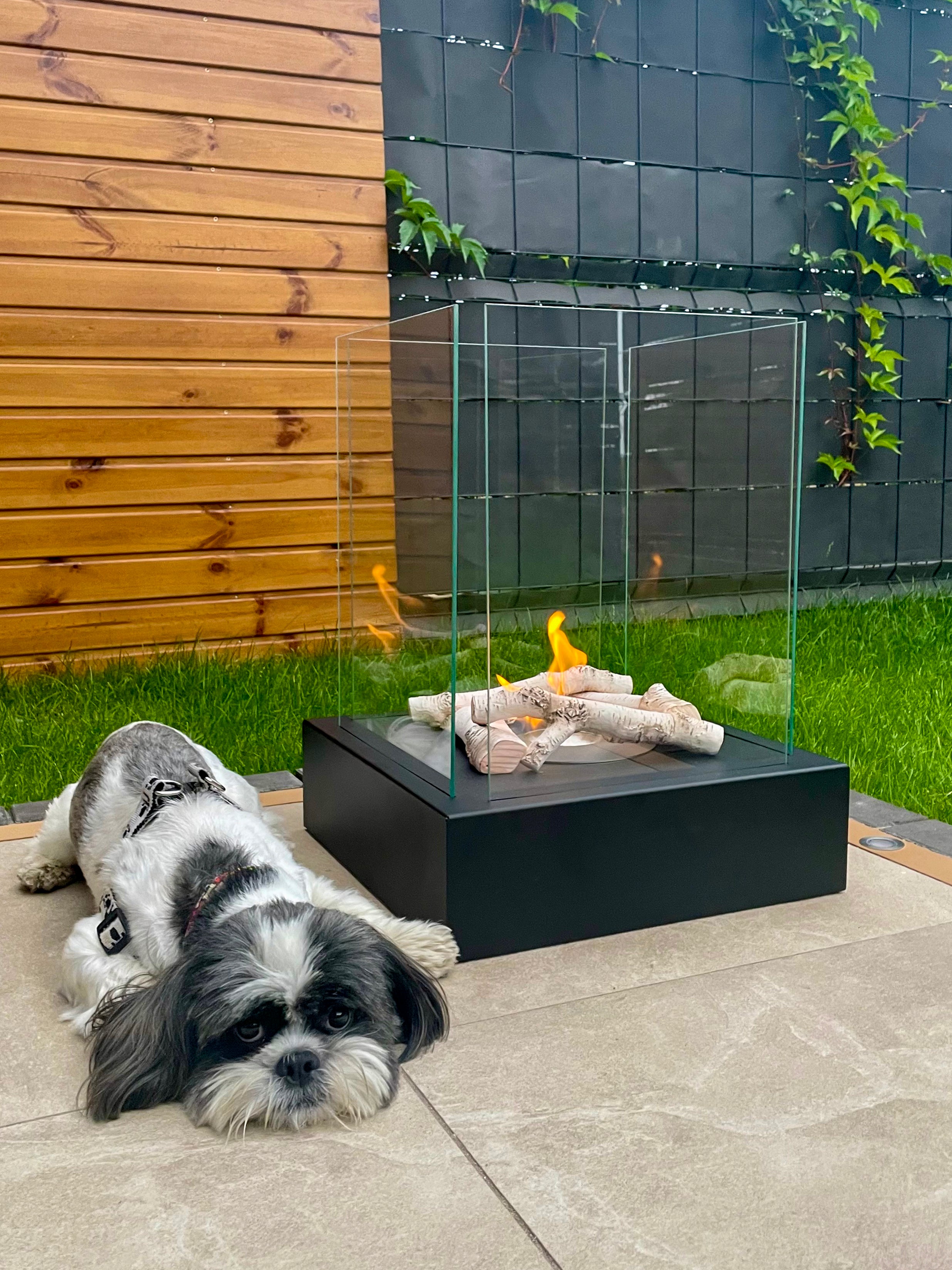 Biofireplace freestanding Sunset Garden black